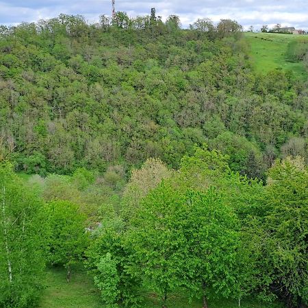 Agreable T2 Classe 3 Etoiles, Refait A Neuf, Dans Quartier Calme Rodez Exteriér fotografie